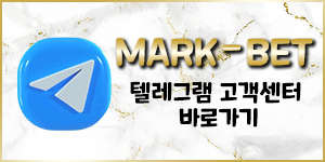 도메인